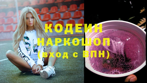 ешки Бородино