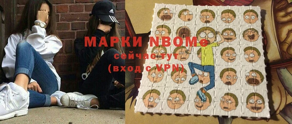 ешки Бородино